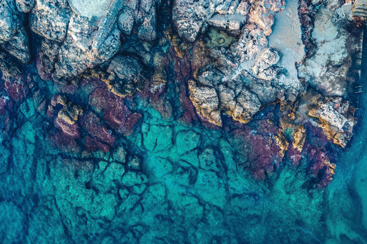 🩵 World Ocean Day: Why Clean Waters Matter to Us